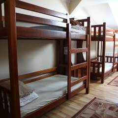 Lions heart hostel детские мероприятия