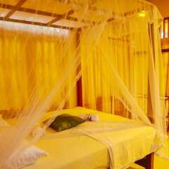 Отель Milkyway Holiday Resort спа
