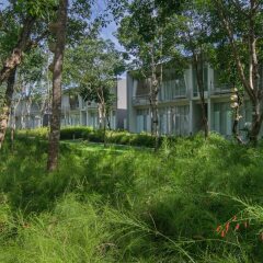 Отель SALA Phuket Mai Khao Beach Resort фото 11