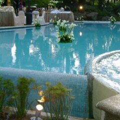 Отель Hilton Guatemala City с домашними животными