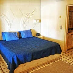 Отель Terrasol 254 1 Bedroom 1 Bathroom Condo Мексика, Кабо-Сан-Лукас - отзывы, цены и фото номеров - забронировать отель Terrasol 254 1 Bedroom 1 Bathroom Condo онлайн комната для гостей
