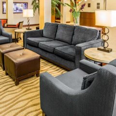 Отель Comfort Suites Sarasota - Siesta Key интерьер отеля фото 3