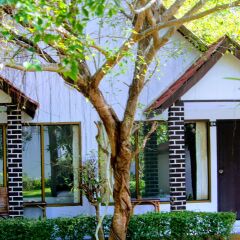 Отель Lanta Veranda Resort Таиланд, Ланта - 1 отзыв об отеле, цены и фото номеров - забронировать отель Lanta Veranda Resort онлайн фото 8