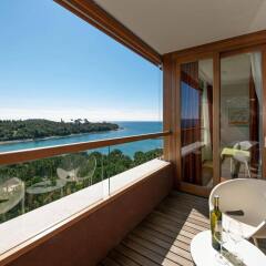 Отель All Suites Island Hotel Istra Хорватия, Ровинь - отзывы, цены и фото номеров - забронировать отель All Suites Island Hotel Istra онлайн балкон