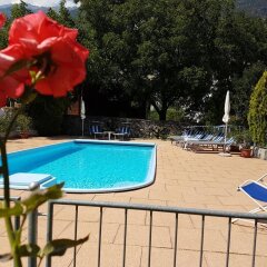 Отель Pension Dietl Лачес бассейн фото 3