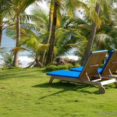 ECO Lifestyle & Lodge in St. Andrew, Barbados from 347$, photos, reviews - zenhotels.com pool