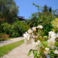 Отель Olive Farm Of Datca Guesthouse - Adults Only Датча фото 15