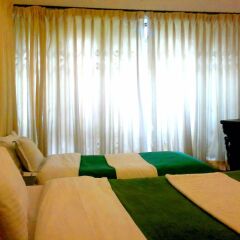 Отель Green Boutique Hotel Непал, Катманду - отзывы, цены и фото номеров - забронировать отель Green Boutique Hotel онлайн комната для гостей фото 3
