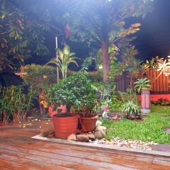 Отель Mon Lodge & Yoga Donmuang Таиланд, Бангкок - отзывы, цены и фото номеров - забронировать отель Mon Lodge & Yoga Donmuang онлайн фото 2