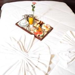 Amazonas Palace Hotel в номере фото 2