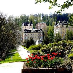 Апартаменты Apartments Marienbad Марианске-Лазне