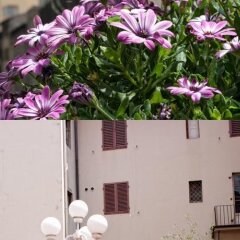Отель Balcony Италия, Флоренция - отзывы, цены и фото номеров - забронировать отель Balcony онлайн балкон