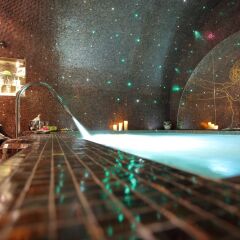Отель Hôtel Da Vinci & Spa гостиничный бар