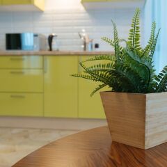 Apart-Hotel Ekoliner интерьер отеля фото 3
