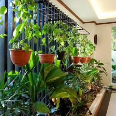 Отель Ipil Suites Puerto Princesa Филиппины, Пуэрто-Принцеса - отзывы, цены и фото номеров - забронировать отель Ipil Suites Puerto Princesa онлайн