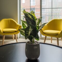 Отель Convenient Apartments Near The Commons США, Колумбус - отзывы, цены и фото номеров - забронировать отель Convenient Apartments Near The Commons онлайн фото 5