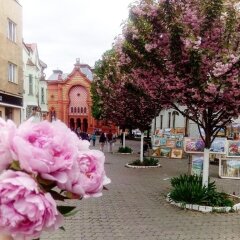 Гостиница Letuchiy Gollandets