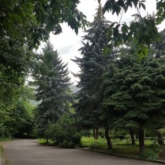 Отель Vanadzor Armenia Health Resort Армения, Дзорагет - отзывы, цены и фото номеров - забронировать отель Vanadzor Armenia Health Resort онлайн фото 13