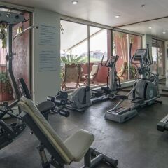 Отель Holiday Inn Suites Zona Rosa Мексика, Мехико - отзывы, цены и фото номеров - забронировать отель Holiday Inn Suites Zona Rosa онлайн фитнесс-зал фото 3