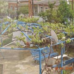 Отель Guest House Kharabadze Family спортивное сооружение