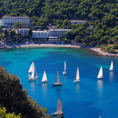 Hotel Vis фото 3