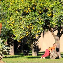 Отель Chrislin African Lodge фитнесс-зал