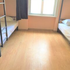 Hostel N1 in Sofia детские мероприятия