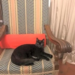 Отель Villa Ape Rosa Relais с домашними животными