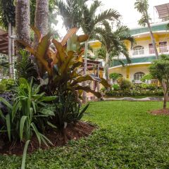 Отель Altheas Place Palawan Филиппины, Пуэрто-Принцеса - отзывы, цены и фото номеров - забронировать отель Altheas Place Palawan онлайн фото 7
