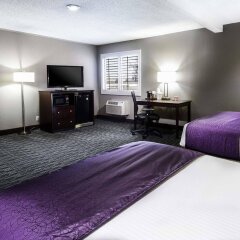 Отель Best Western McCarran Inn США, Лас-Вегас - отзывы, цены и фото номеров - забронировать отель Best Western McCarran Inn онлайн комната для гостей фото 3