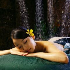 Отель Banyan Tree Club & Spa Seoul Южная Корея, Сеул - отзывы, цены и фото номеров - забронировать отель Banyan Tree Club & Spa Seoul онлайн с домашними животными