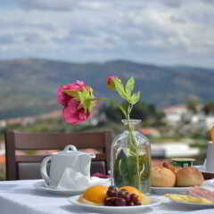 Placido Hotel Douro Tabuaco Табуасу питание