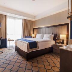 Holiday Inn Kayseri - Duvenonu Турция, Кайсери - отзывы, цены и фото номеров - забронировать отель Holiday Inn Kayseri - Duvenonu онлайн комната для гостей фото 5