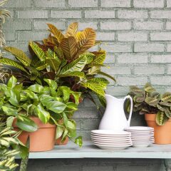 Отель Palihouse West Hollywood США, Уэст-Голливуд - отзывы, цены и фото номеров - забронировать отель Palihouse West Hollywood онлайн фото 8