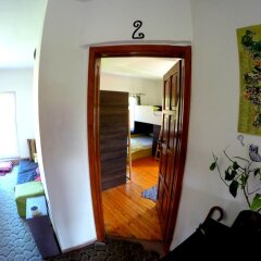 Отель Funky Monkey Hostel Болгария, Пловдив - отзывы, цены и фото номеров - забронировать отель Funky Monkey Hostel онлайн комната для гостей фото 3
