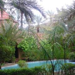 Отель Riad Lamane Марокко, Загора - отзывы, цены и фото номеров - забронировать отель Riad Lamane онлайн фото 3