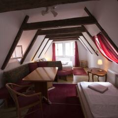 Charles Bridge Hostel & Apartments Прага комната для гостей