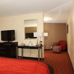 Отель Comfort Inn Los Angeles near Hollywood США, Лос-Анджелес - отзывы, цены и фото номеров - забронировать отель Comfort Inn Los Angeles near Hollywood онлайн фото 2