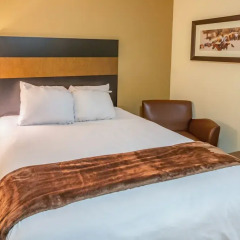 Отель My Place Hotel-Minot, ND США, Майнот - отзывы, цены и фото номеров - забронировать отель My Place Hotel-Minot, ND онлайн комната для гостей фото 4