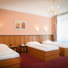 Отель Gartenhotel Gabriel City комната для гостей фото 8