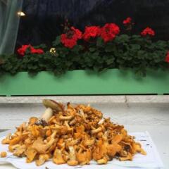 Hotel Roy Рокка Пьеторе питание