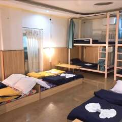 Отель Hai Cay Thong Homestay - Hostel Вьетнам, Далат - отзывы, цены и фото номеров - забронировать отель Hai Cay Thong Homestay - Hostel онлайн фото 5
