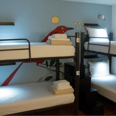 Fénix Beds Hostel комната для гостей