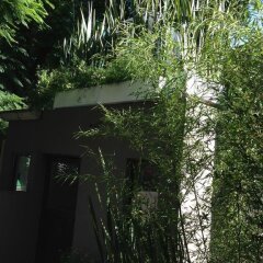 Отель Pug Seal B&B Coyoacan Мексика, Мехико - отзывы, цены и фото номеров - забронировать отель Pug Seal B&B Coyoacan онлайн фото 7
