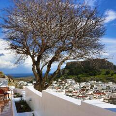 Отель Little Lindos Sea View Studios бассейн