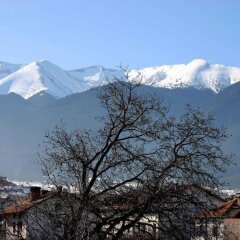 Отель Отел Бисер Банско фото 3