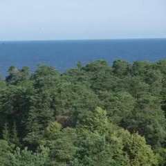 Отель Cottage Sanatorium Belorusija пляж