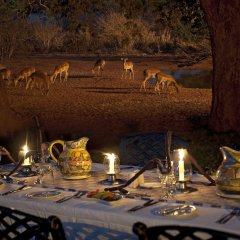 Imbabala Zambezi Safari Lodge - All Inclusive in Victoria Falls, Zimbabwe from 147$, photos, reviews - zenhotels.com photo 2