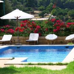 Отель Sa Plana Petit Hotel Испания, Эстелленс - отзывы, цены и фото номеров - забронировать отель Sa Plana Petit Hotel онлайн бассейн