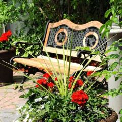 Отель Adam's Airport Inn Канада, Оттава - отзывы, цены и фото номеров - забронировать отель Adam's Airport Inn онлайн фото 5